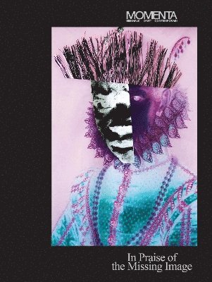 bokomslag MOMENTA: In Praise of the Missing Image