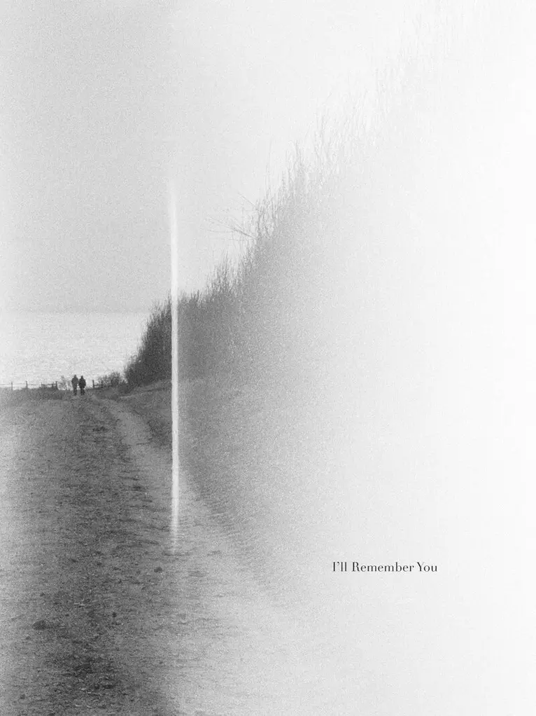 I’ll Remember You: Jonas Dahlström, Häftad. Tillgänglighet: Lägg i varukorg