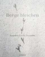 bokomslag Sandro Livio Straube