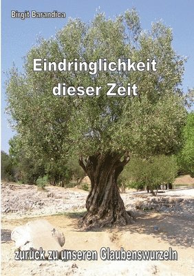 Birgit Barandica - Eindringlichkeit dieser Zeit, Häftad