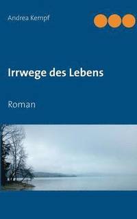 bokomslag Irrwege des Lebens