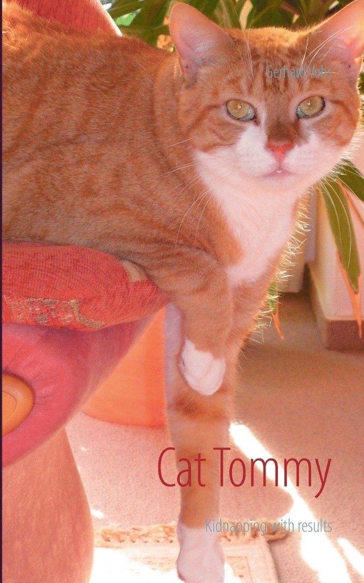 Cat Tommy