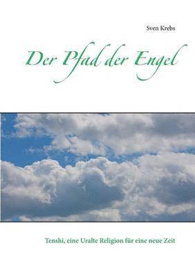 Sven Krebs - Pfad der Engel, Häftad