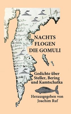 bokomslag Nachts flogen die Gomuli