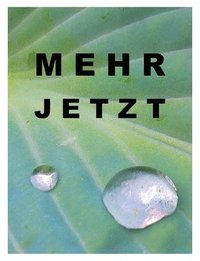 bokomslag Mehr jetzt