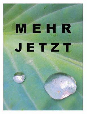 bokomslag Mehr jetzt
