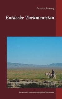 bokomslag Entdecke Turkmenistan