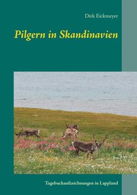 bokomslag Pilgern in Skandinavien
