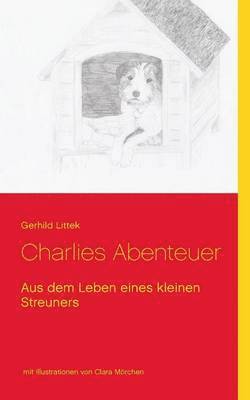 Charlies Abenteuer 1