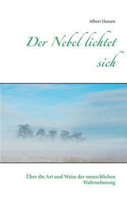bokomslag Nebel lichtet sich