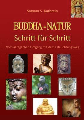 bokomslag Buddha-Natur