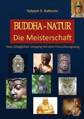 bokomslag Buddha-Natur
