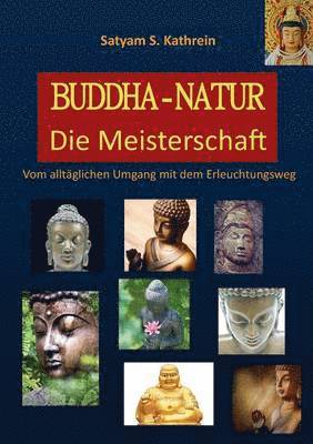 bokomslag Buddha-Natur