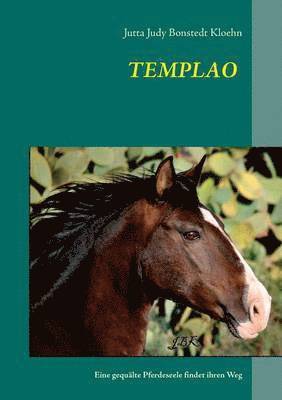 Templao 1