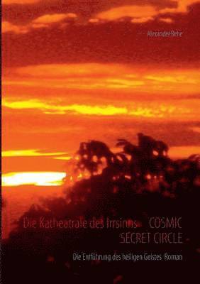 bokomslag Die Katheatrale des Irrsinns Cosmic Secret Circle