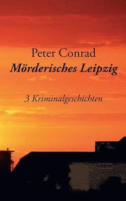 bokomslag Mörderisches Leipzig