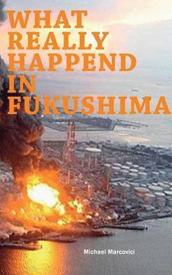 bokomslag What really happened in Fukushima