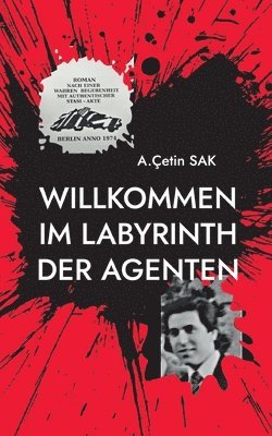 bokomslag Willkommen im Labyrinth der Agenten