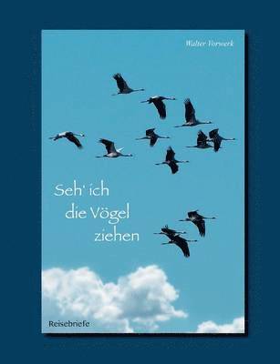 bokomslag Seh' ich die Vögel ziehen