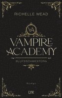 bokomslag Vampire Academy - Blutsschwestern