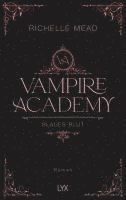 bokomslag Vampire Academy - Blaues Blut
