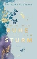 bokomslag Wie die Ruhe vor dem Sturm: Special Edition