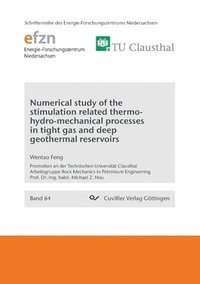 bokomslag Numerical study of the stimulation related thermo-hydro-mechanical processes in tight gas and deep geothermal reservoirs