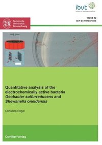 bokomslag Quantitative analysis of the electrochemically active bacteria Geobacter sulfurreducens and Shewanella oneidensis