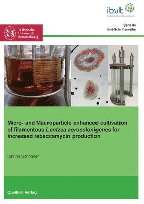 Micro- and Macroparticle enhanced cultivation of filamentous Lentzea aerocolonigenes for increased rebeccamycin production 1