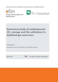 bokomslag Numerical study of underground CO2 storage and the utilization in depleted gas reservoirs