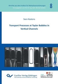 bokomslag Transport Processes at Taylor Bubbles in Vertical Channels