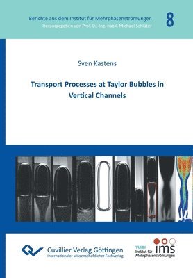 bokomslag Transport Processes at Taylor Bubbles in Vertical Channels