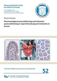bokomslag Pharmacological preconditioning and ischaemic postconditioning in experimental jejunal ischaemia in horses