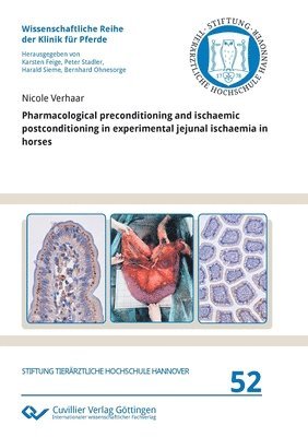 Pharmacological preconditioning and ischaemic postconditioning in experimental jejunal ischaemia in horses 1