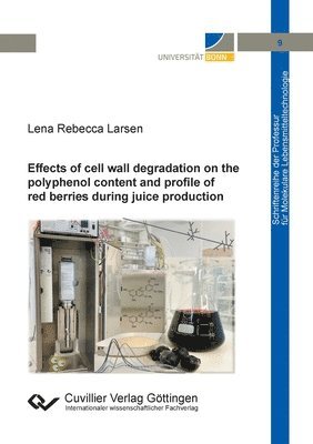 bokomslag Effects of cell wall degradation on the polyphenol content and profile of red berries during juice production