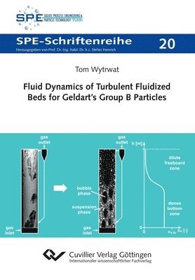 Fluid Dynamics of Turbulent Fluidized Beds for Geldart's Group B Particles 1