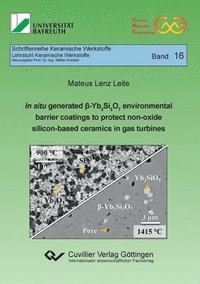 bokomslag In situ generated ss-Yb&#8322;Si&#8322;O&#8327; environmental barrier coatings to protect non-oxide silicon-based ceramics in gas turbines