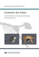 bokomslag Anatomie der Katze und ihr Verhalten aus der Sicht des Anatomen, eine Textsammlung