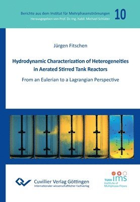 Hydrodynamic Characterization of Heterogeneities in Aerated Stirred Tank Reactors. From an Eulerian to a Lagrangian Perspective 1