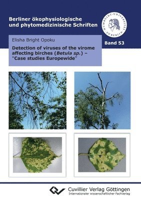 Detection of viruses of the virome affecting birches (Betula sp.) - &quot;Case studies Europe-wide&quot; 1