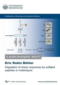 bokomslag Regulation of stress responses by sulfated peptides in Arabidopsis