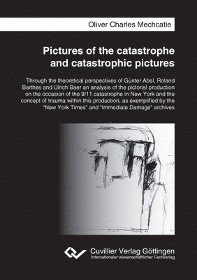 bokomslag Pictures of the catastrophe and catastrophic pictures