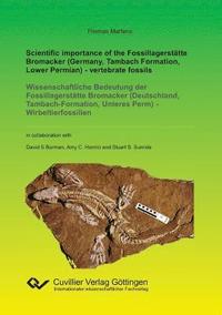 bokomslag Scientific importance of the Fossillagerstatte Bromacker (Germany, Tambach Formation, Lower Permian) - vertebrate fossils