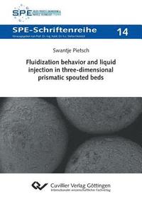 bokomslag Fluidization behavior and liquid injection in three-dimensional prismatic spouted beds