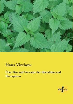 bokomslag ber Bau und Nervatur der Blattzhne und Blattspitzen