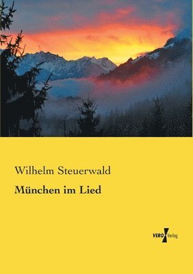 bokomslag München im Lied