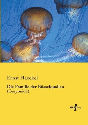 bokomslag Die Familie der Rsselquallen