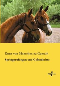 bokomslag Springprfungen und Gelnderitte