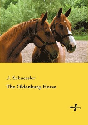 bokomslag The Oldenburg Horse