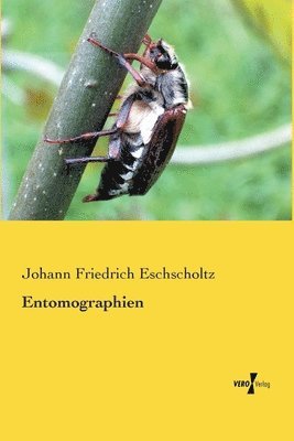 Entomographien 1